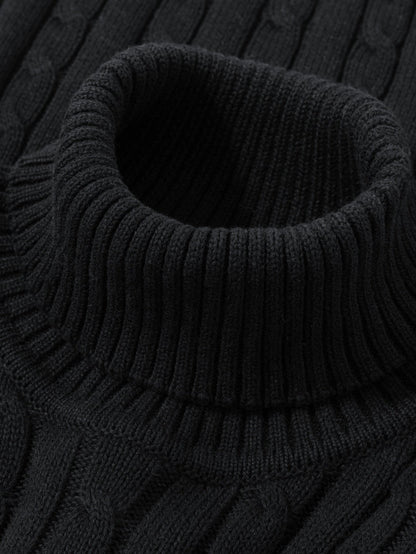 Herren Strickpullover mit Zopfmuster – Rollkragen, stilvoll & bequem, ideal für Freizeit und Alltag